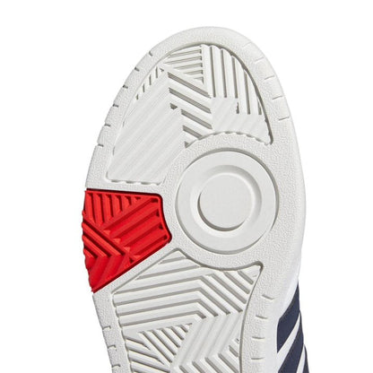HOOPS 3.0